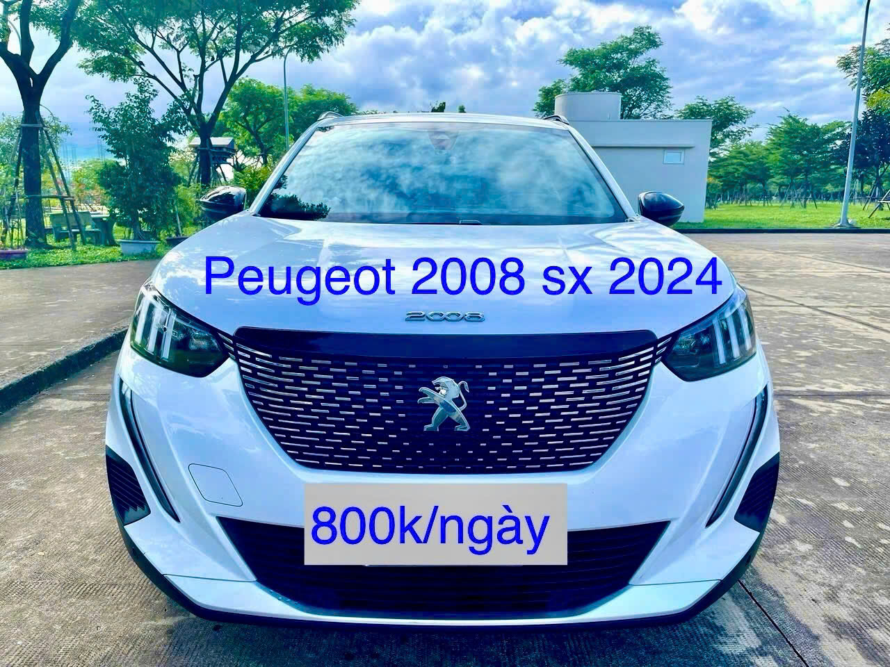 Cho thuê xe Peugeot 2008 sx 2024